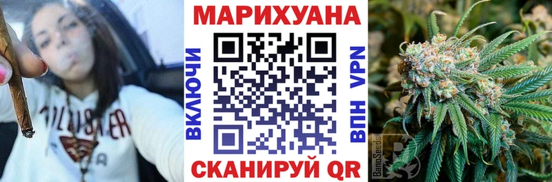 Купить где  Льгов  Канабис SATIVA & INDICA 